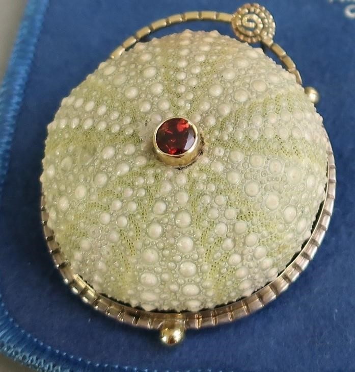 Sea urchin brooch, unmarked