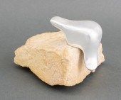 SEAL ON AN ICEBERG DESK SCULPT
