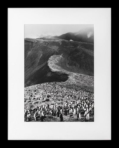 SEBASTIAO SALGADO &QUOT;CHINSTRAP