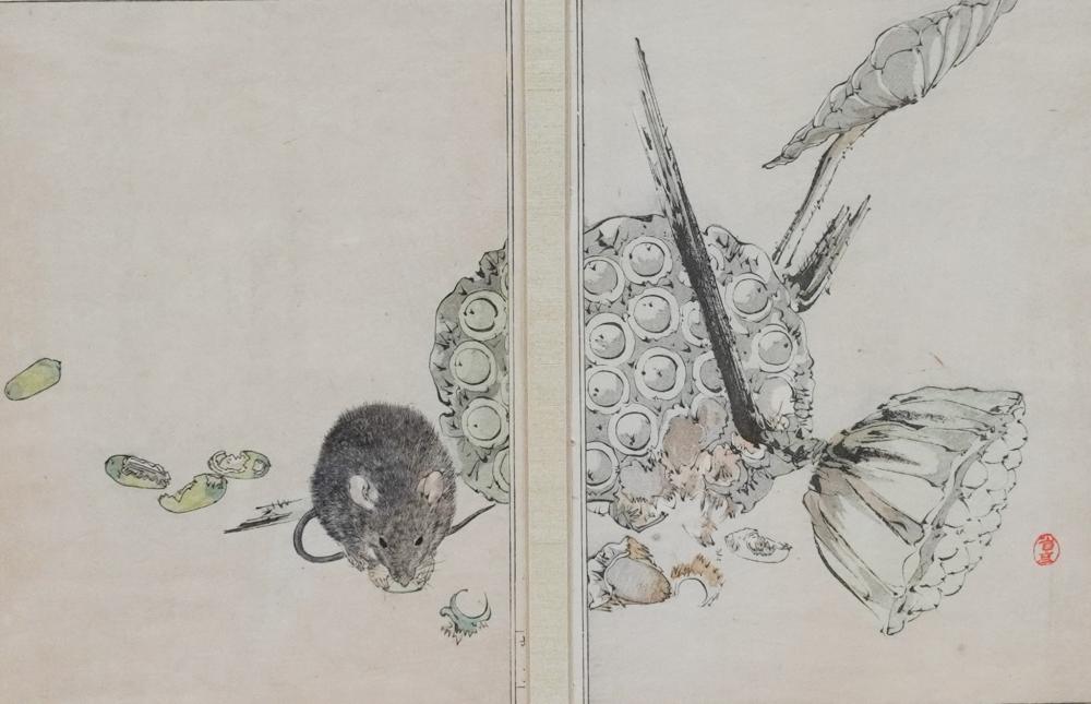 SEITEI (SHOTEI) WATANABE