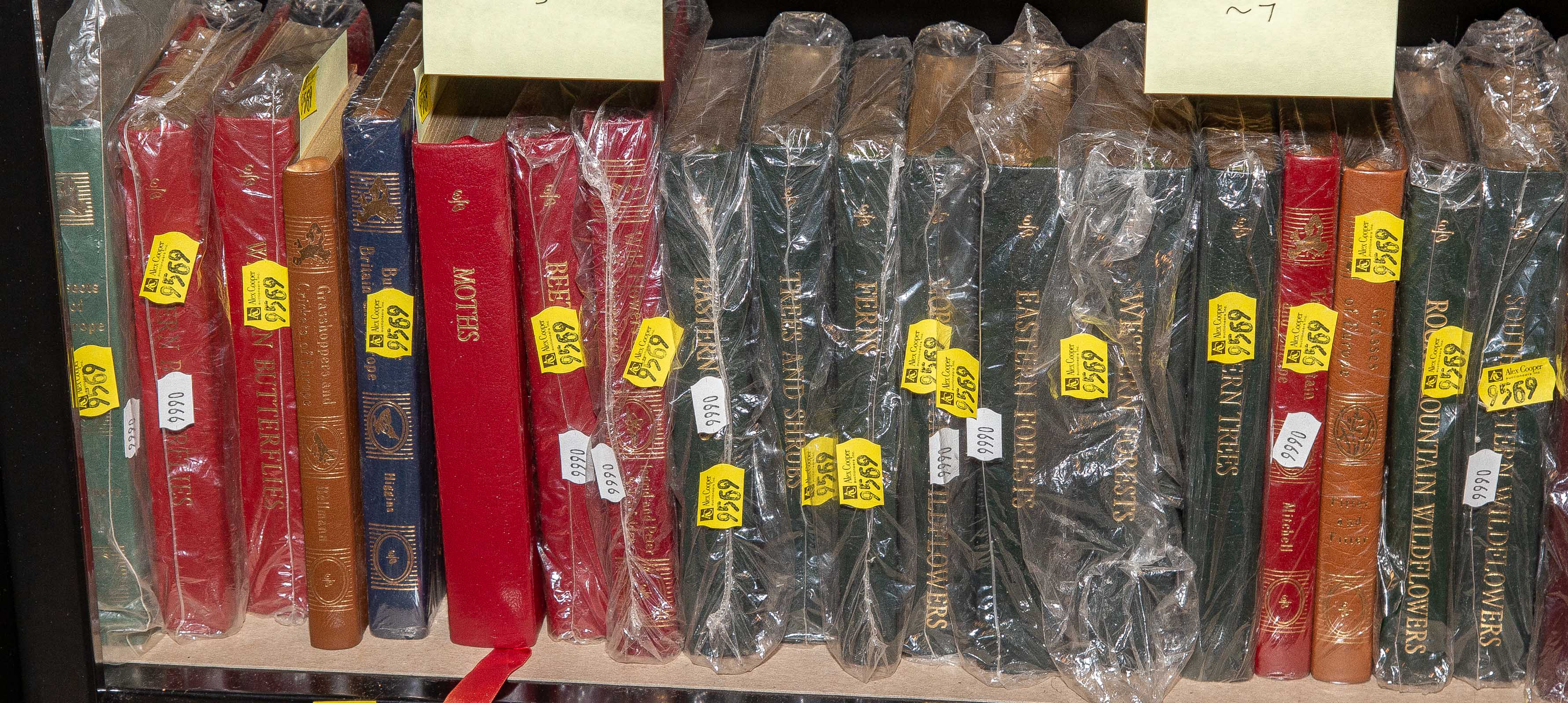 SELECTION OF 19 PETERSON'S FIELD