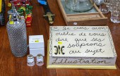SELECTION OF DECORATIONS & COL