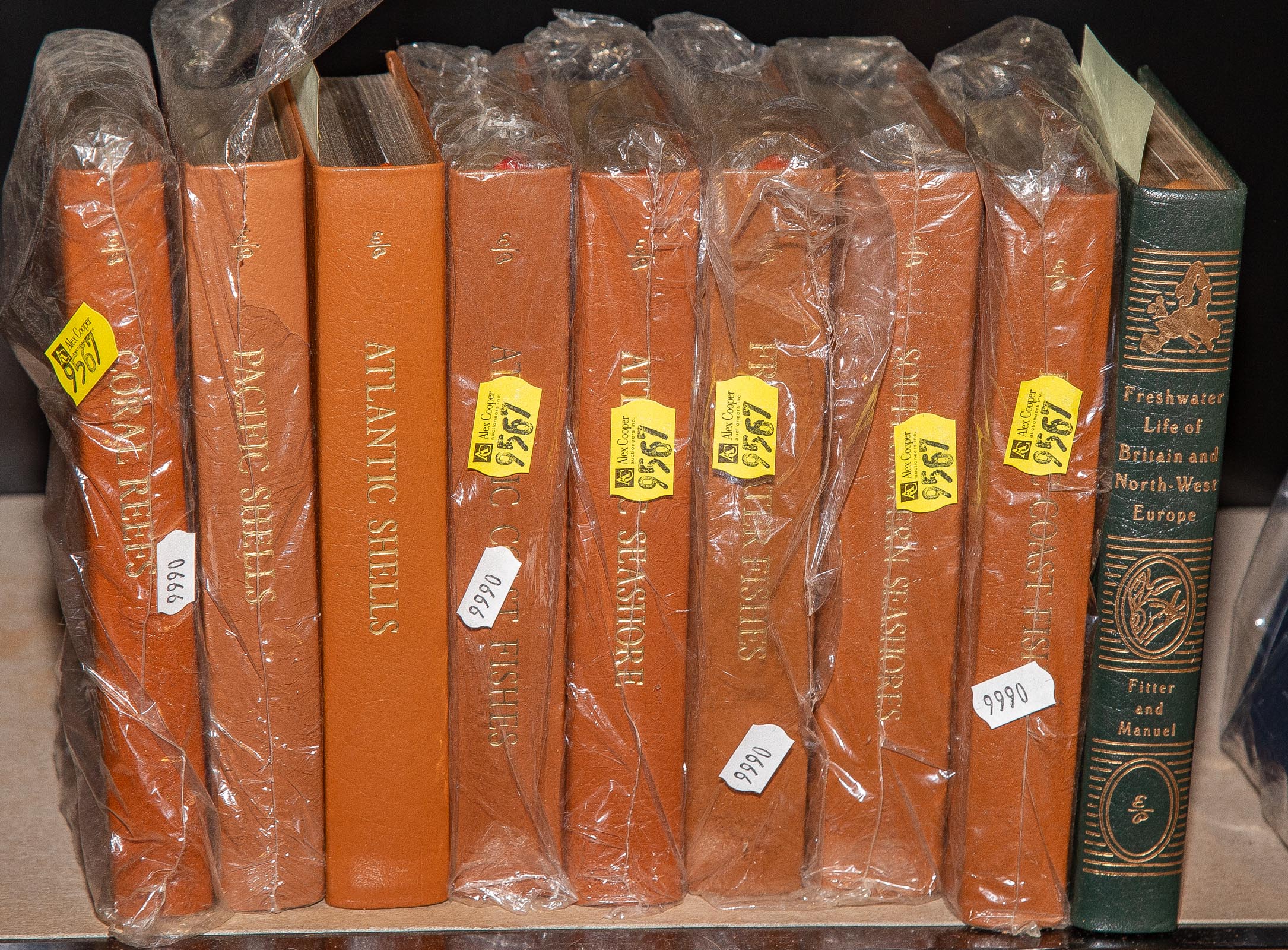 SELECTION OF NINE PETERSON'S