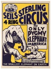 SELLS-STERLING FOUR RING CIRCU