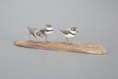 SEMIPALMATED PLOVER TRIOMark H