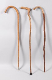 SENATOR WARNER'S THREE CANES,