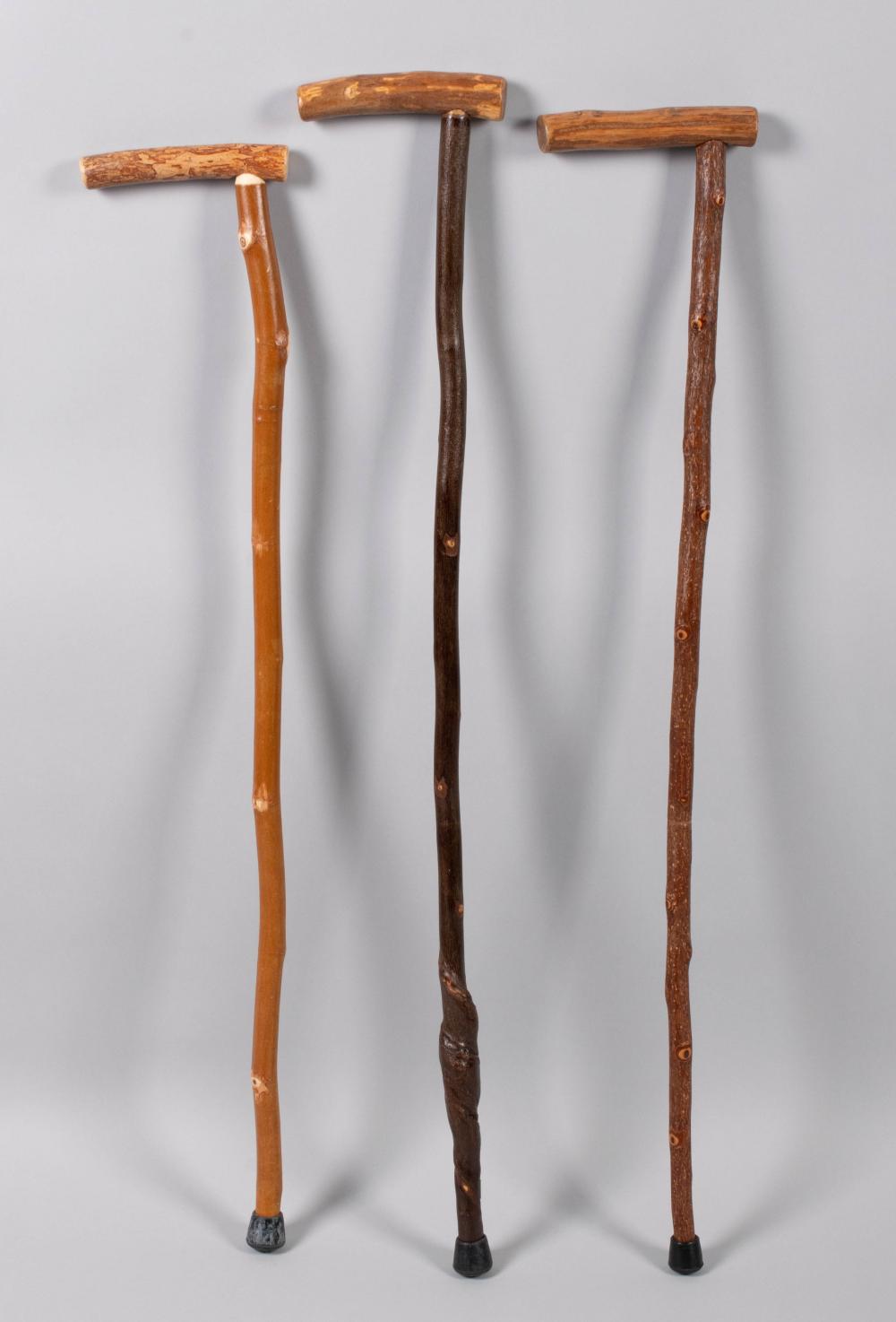 SENATOR WARNER'S THREE RUSTIC CANES