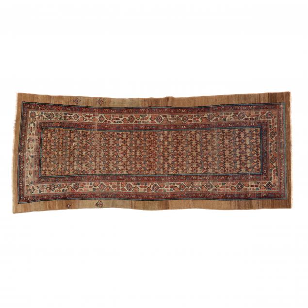 SERAB RUNNER Camel field with
