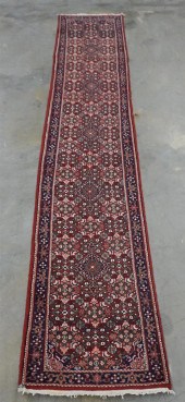 SEREBAND RUNNER, 12 FT X 2 FT