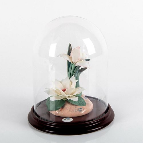 SERENADE IN WHITE 1011843 -