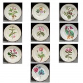 SET (10) ENGLISH BOTANICAL CRE