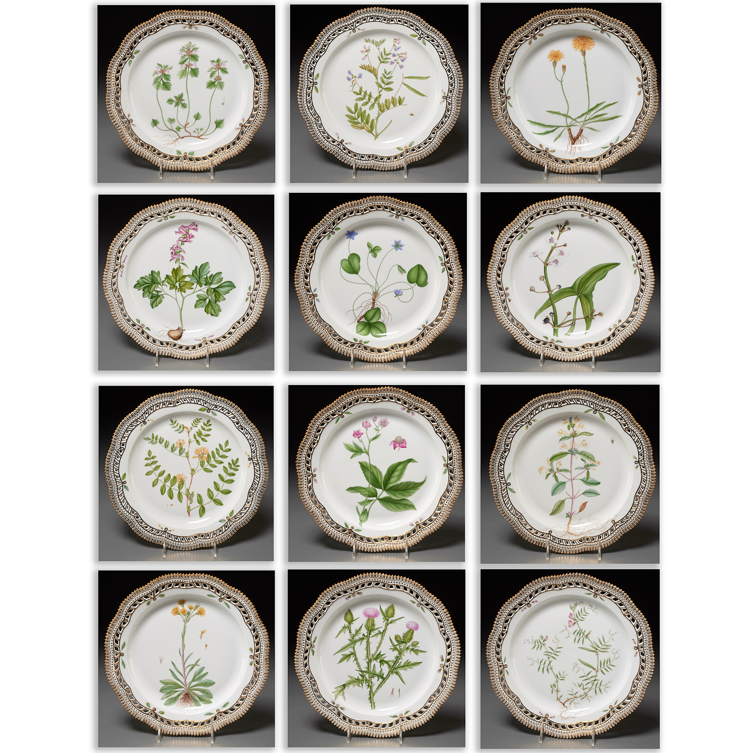 SET (12) FLORA DANICA DINNER PLATES