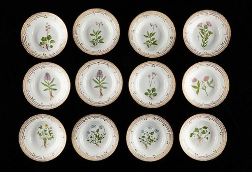 SET: 12 FLORA DANICA FLAT RIM