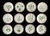 SET: 12 FLORA DANICA RETICULAT