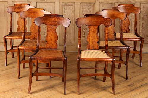 SET 6 19TH C. BIRDSEYE TIGER