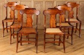 SET 6 19TH C. BIRDSEYE TIGER M