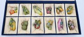 SET OF 12 CHINESE PORCELAIN VE