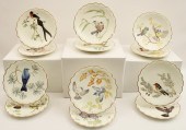 SET OF 12 DOROTHY DOUGHTY BIRD