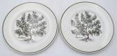 SET OF 12 TIFFANY "HERBS" PATT