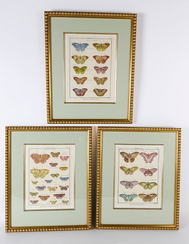SET OF 3 ANTIQUE FRENCH HANDCOLORED