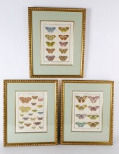 SET OF 3 ANTIQUE FRENCH HANDCO