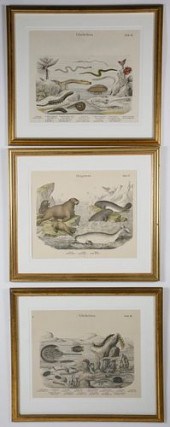 SET OF 3 GERMAN HAND COLORED L