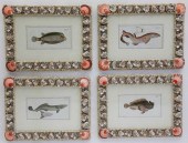 SET OF 4 COQUILLAGE FRAMED 18T