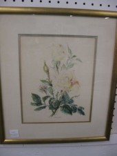 Set of 6 Botanical Watercolors