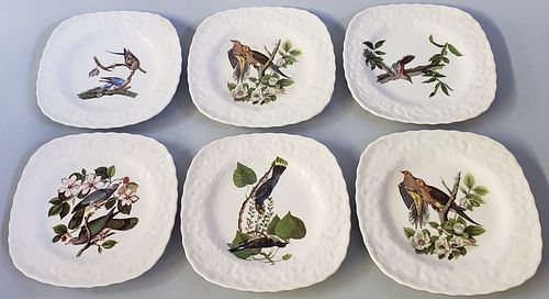 SET OF 6 NATIONAL AUDUBON SOCIETY