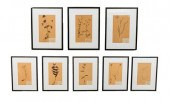 SET OF 8 DRIED FLOWER BOTANICA