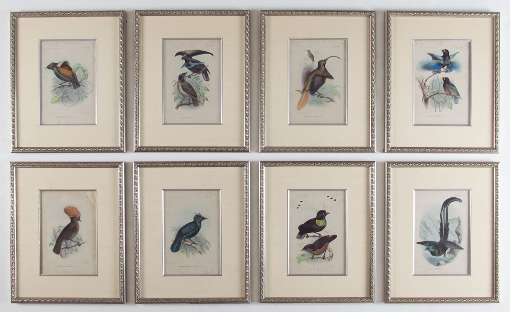 SET OF 8 HAND COLORED LITHOGRAPHS