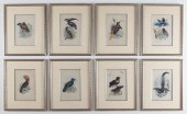SET OF 8 HAND COLORED LITHOGRA