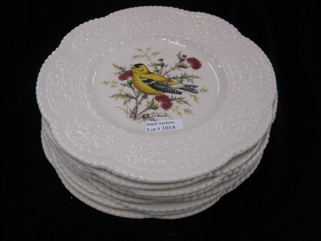 Set of 8 Royal Cauldon ''Aviary''