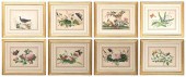 SET OF EIGHT CHINESE EXPORT PI