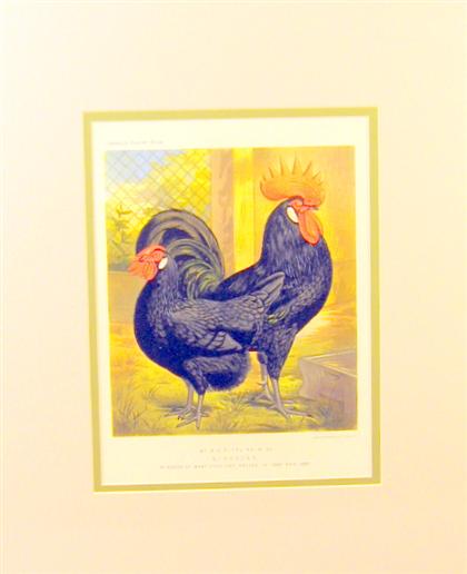 Set of eight color lithographs of
