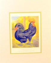Set of eight color lithographs