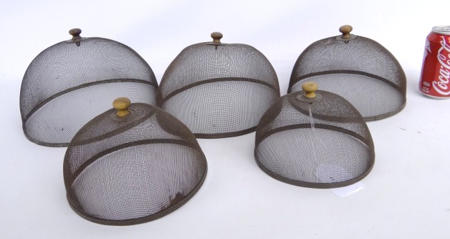 Set of five early graduated fly