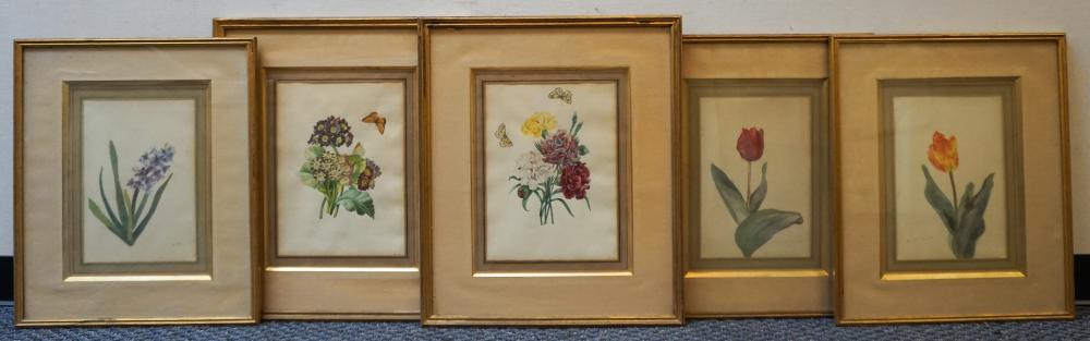 SET OF FIVE PHOTOPRINTS OF