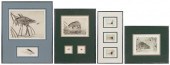 SET OF FLY FISHING PRINTS AND