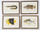 SET OF FOUR ANTIQUE LITHOGRAPH