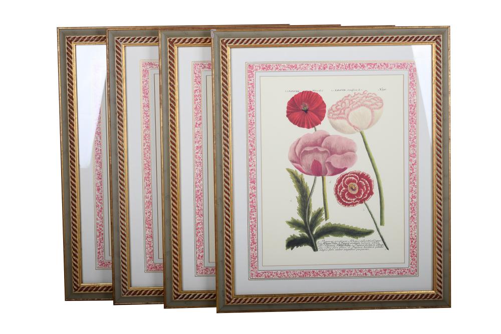SET OF FOUR BOTANICAL PRINTSeach