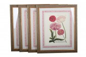 SET OF FOUR BOTANICAL PRINTSea