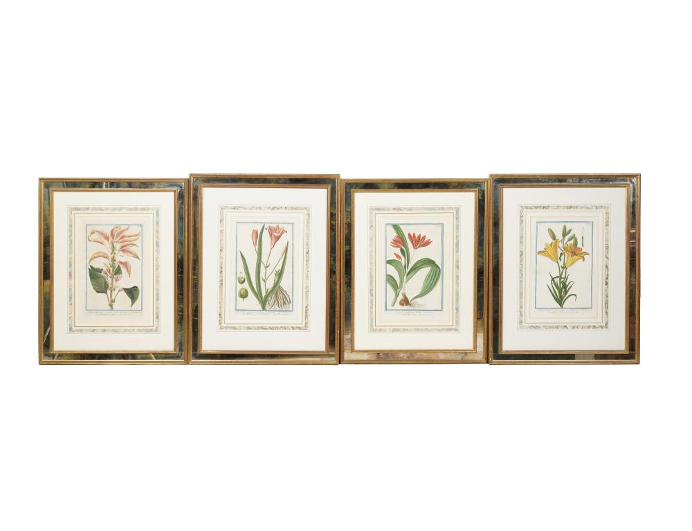 SET OF FOUR BOTANICALSSet of Four