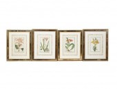 SET OF FOUR BOTANICALSSet of F
