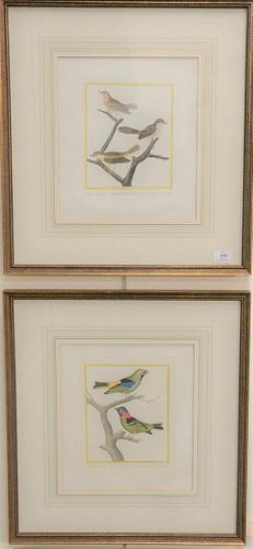 SET OF FOUR FRANCOIS NICHOLAS