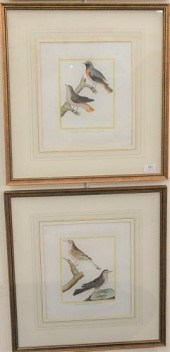 SET OF FOUR FRANCOIS NICOLA MA