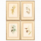 SET OF FOUR GOULD HUMMINGBIRDS