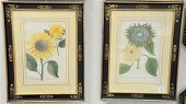 SET OF FOUR JOHANN WILHELM WEI