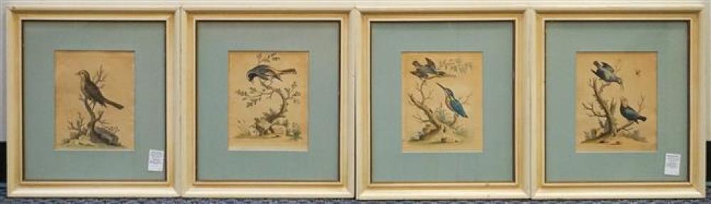SET OF FOUR ORNITHOLOGICAL