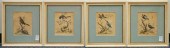 SET OF FOUR ORNITHOLOGICAL ENG